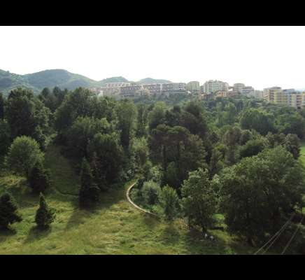 Tirana Garden4